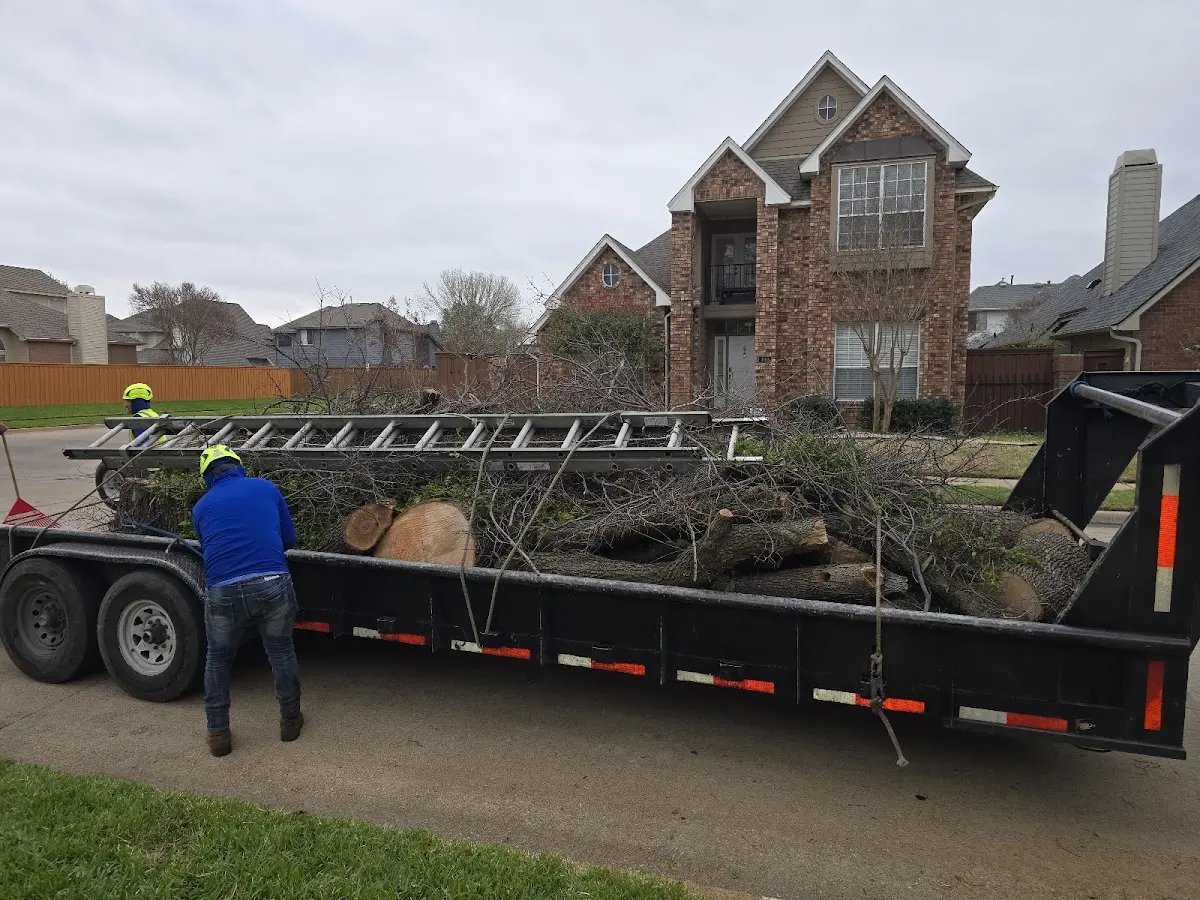 Expert Tree Fertilization with proper safety equipment in Torrey